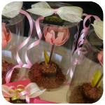 Fleur f&atilde;&ordf;te des m&atilde;&uml;res